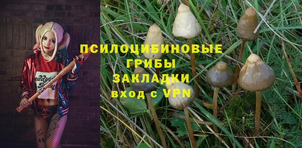спиды Арсеньев