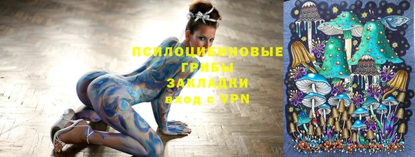 спиды Арсеньев