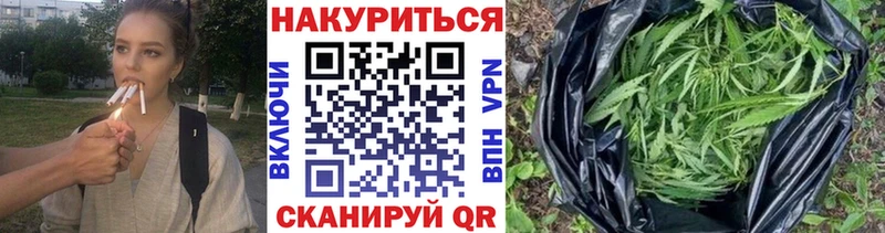 Канабис гибрид Теберда